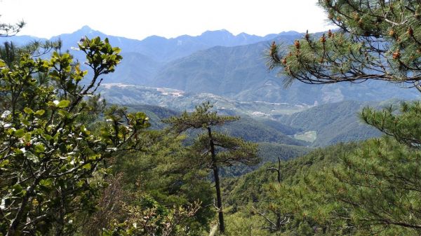 志佳陽大山(3289M)-也太陡了吧?340291