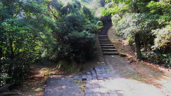 淡蘭山徑-金字碑古道1062845