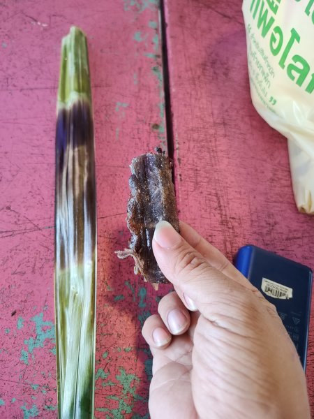 泰國曼谷：邦盛沙灘2922292