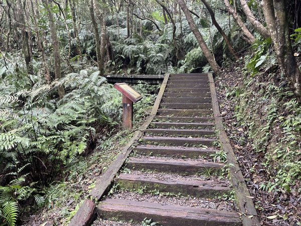 翠山步道 + 碧溪步道 + 大崙尾步道2649948