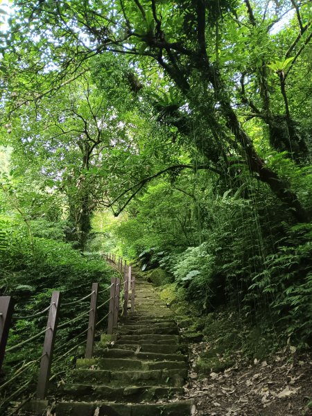 微笑山線二格山系銀河洞越嶺段2986115