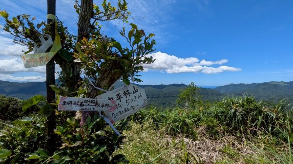 114.06.28內平林山-番子坑山-平湖森林遊樂區之O型2824225