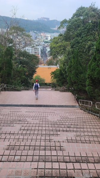 2025-0204 鶯歌_大凍山_三角埔頂山_迴龍2707967