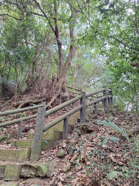 飛龍步道(崇聖亭起登)202401222696329