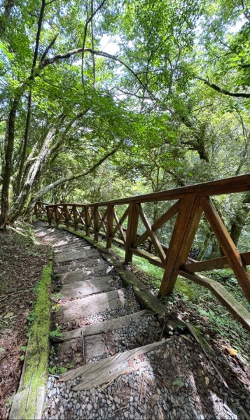 新中橫看玉山 首訪鹿林神木2837042