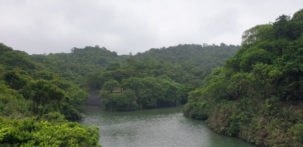 情人湖 大武崙山1717219