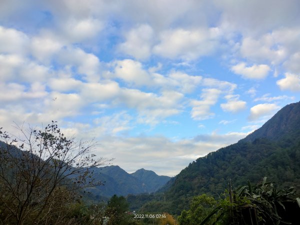 松鶴上八仙山1923302