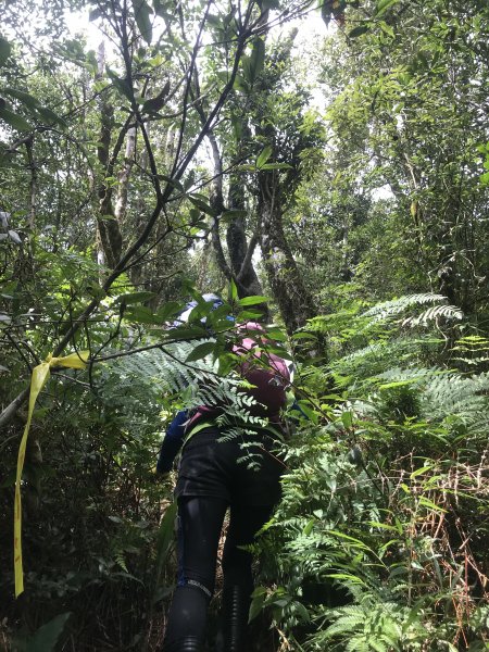 哈盆古道-波露南山-波露山O型走1475880