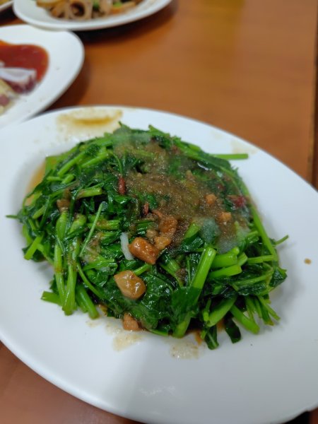 大棟山系南段 水利古道西口 上 竹高崙山 連走 鳥子嶺 坑仔內山 大崖山 下 龍目井農場2953223