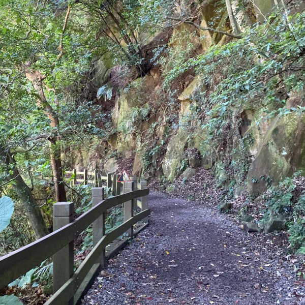 2024/09/16 天母古道（水管路） 紗帽山2884397