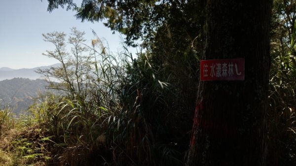 鳶嘴稍來賞楓行663205