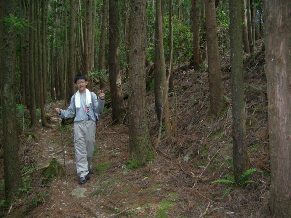 20090701八仙山登頂152595