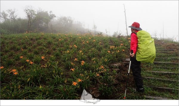 基隆七堵-雨行姜子寮山(小百岳011)394873