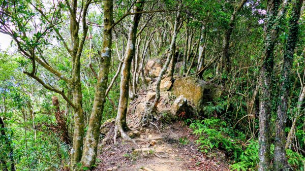 筆架山越嶺2918234