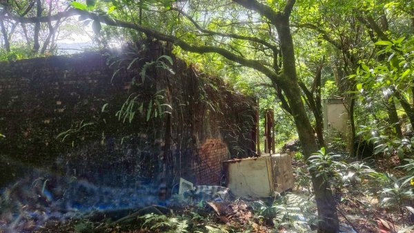 20251011七股山-七股山東北稜-七股山北峰-七股山東北峰-下七股西南-下七股-下七股東北-下七2910568