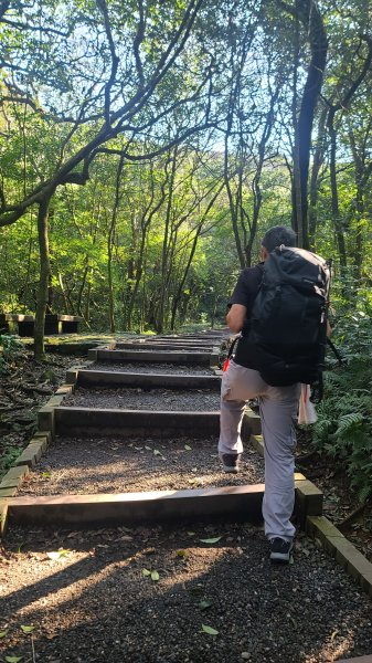 2026-0213 苗圃-凱達格蘭山-七星錐-七星山南峰-小油坑-竹子湖-水車寮步道-湖田猴崁步道-3005647