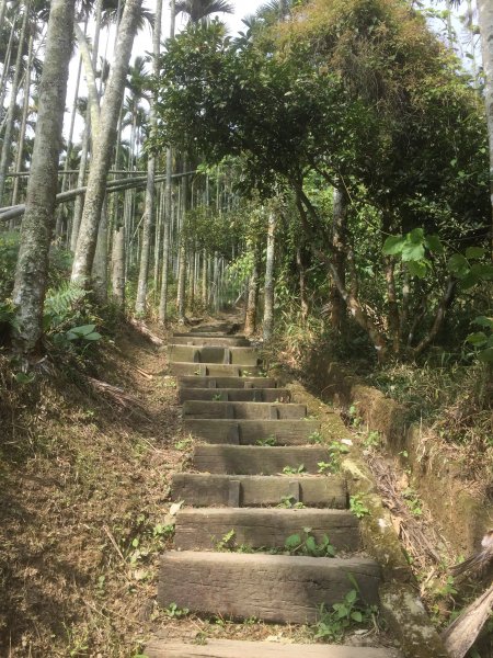 20201128嘉義獨立山-大巃頂O型縱1191940