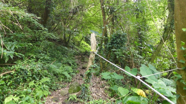 凌雲禪寺 -尖山-大峭壁-駱駝嶺-硬漢嶺25980