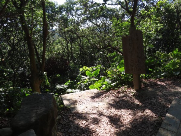 彰化桃源里森林步道+龍鳳谷森林步道2696101