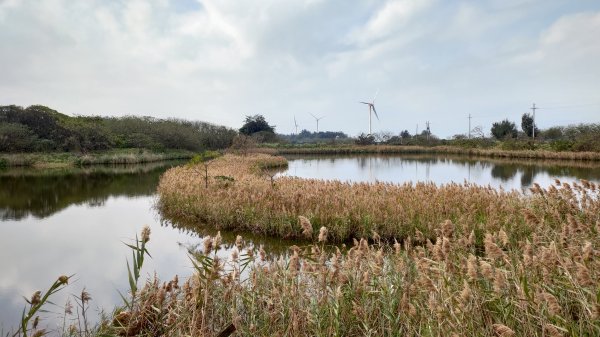 新竹車站巡禮~崎頂到香山2986450