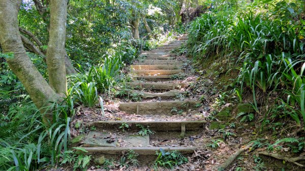 內冷水坑山,青龍嶺,大尖山,新加坡山,牛埔頭山,二尖山2569770