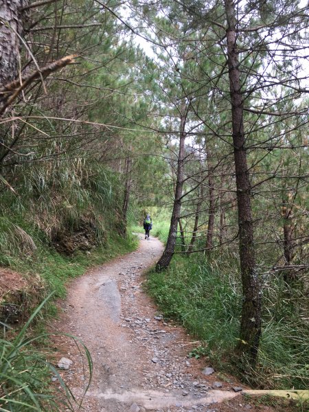 20161109-10_奇萊南華873696