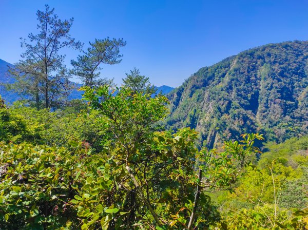 波津加山/谷關七雄老四1638614