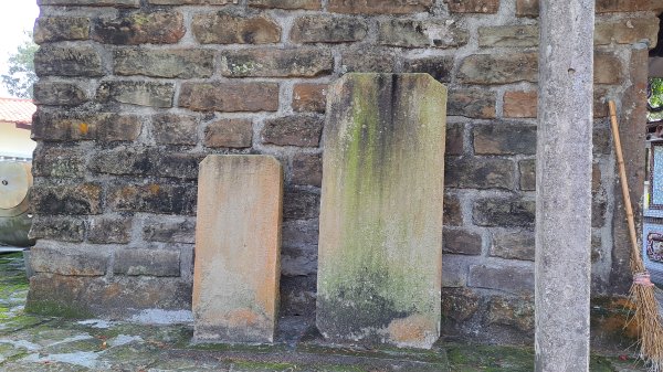 20250218 金柑樹山+忘憂森林2719528