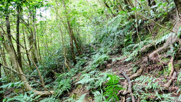 石古井,青林山,畝畝山,平溪子山2854684