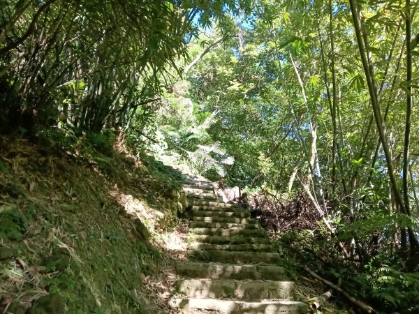 汐止區白雲古道+白雲寺O型2911957