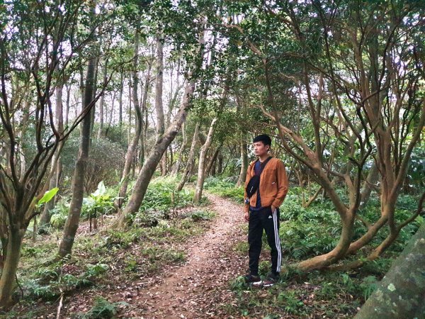 土城天上山，大暖尖山，猴洞，清水石門山，桐花公園，賞螢步道，承天禪寺，桃園福源山1645616