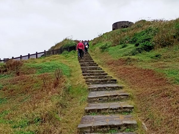 樂以忘憂的忘憂谷步道【南山神壽任務】1962502