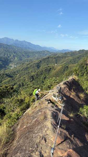 岩壁上的花、艷紅鹿子百合（12868988