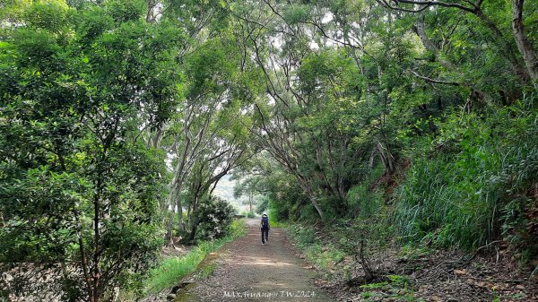 《台中》颱風前夕｜大肚環保公園登山步道(北段)202409292606714