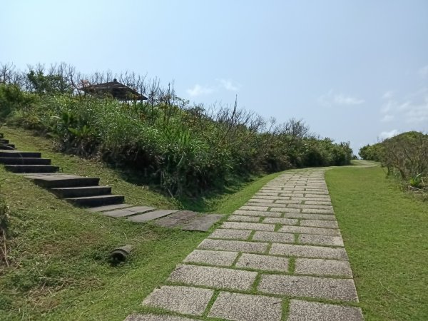 貢寮區龍洞灣岬步道+大禮堂海岸+釣客小徑+金沙灣碉堡野百合2765119