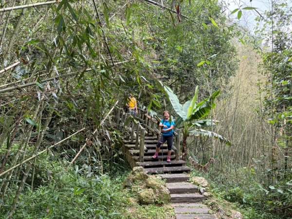 阿里山達娜伊谷、里美避難步道、巨石板步道2909938