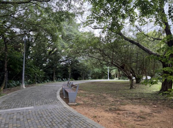 [2026臺北健走趣-14/50] 2026_0823_木柵公園