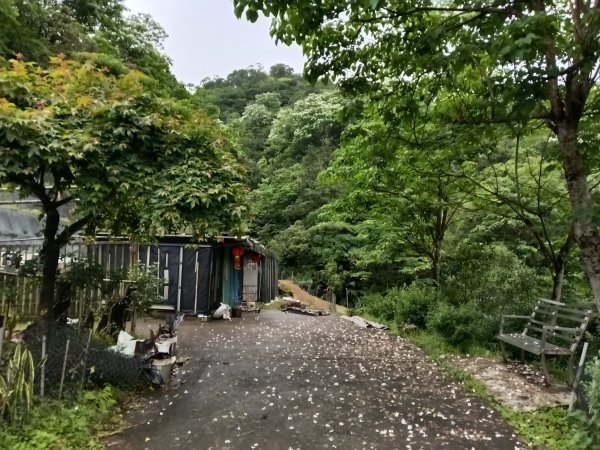 雙溪區平水+外柑腳山去回2784061