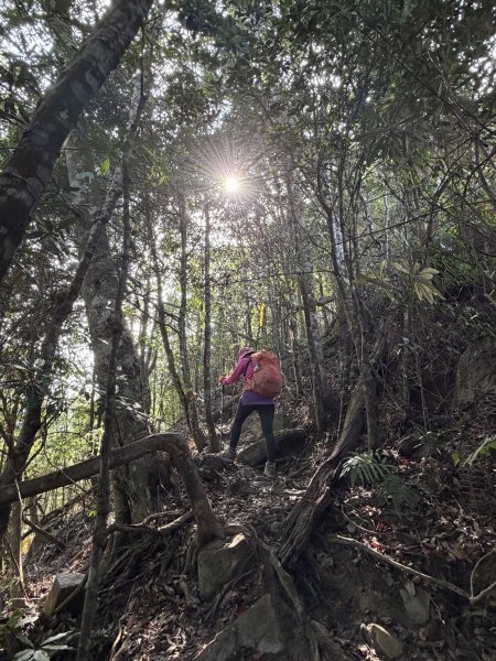 谷關 白毛山-逆O繞 202603153018970