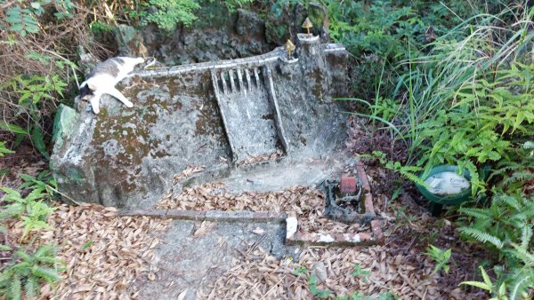 〔內湖三尖 〕忠勇山，鯉魚山，圓覺尖2118070