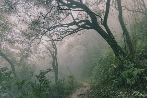 [新北]二格山2730206