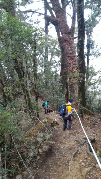 鳶嘴山、稍來山縱走107178