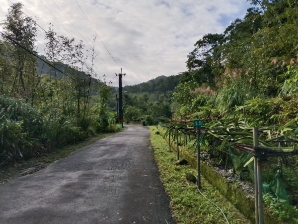 平溪區善覺寺步道+畝畝山北稜線+畝畝山+石硿子瀑布+灰窯瀑布O型2939998