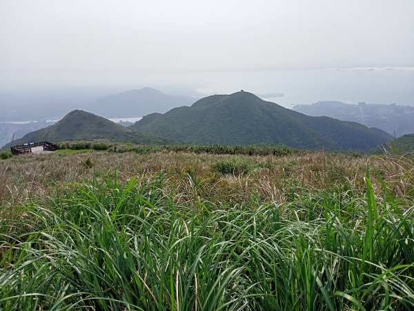 【臺北大縱走 2】【台北-臺灣百大必訪步道】視野遼闊的大屯山主峰，風景秀麗的頂湖海芋步道、水車寮步道1340317