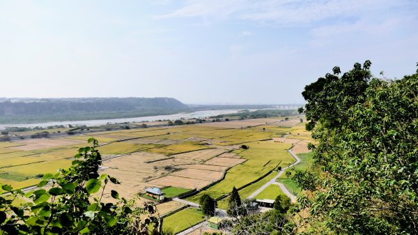 外埔忘憂谷,鐵砧山2648025