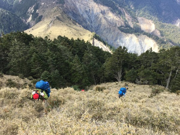 八通關山、八通關山西峰、秀姑巒山526153