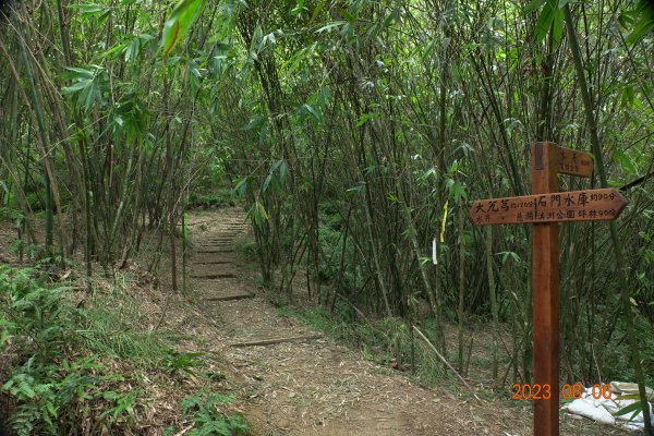 桃園 大溪 新溪洲山、溪洲山、頭寮山2243210