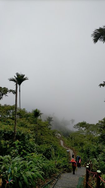 阿拔泉山/觀音石山/紅楠坑山/龜山/大巃頂西北峰/大巃頂/竹松梅步道/獨立山 環狀1718289