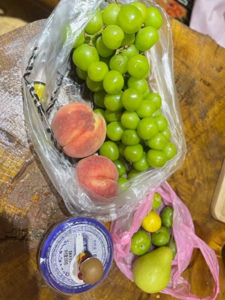 西藏♥️可愛動物🐎人物寫真/拉薩旅拍/美食2903335