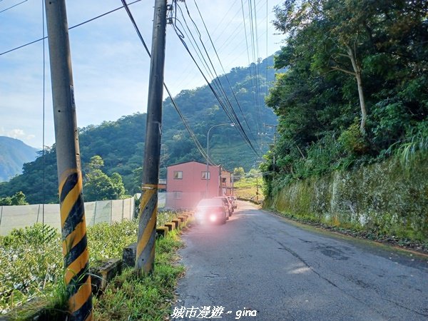 【台中和平】清風徐來蟬鳴聲。 谷關七雄~馬崙山步道2324394